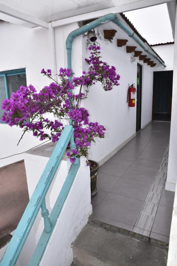 Red Llama Eco Hostel Ліма Екстер'єр фото