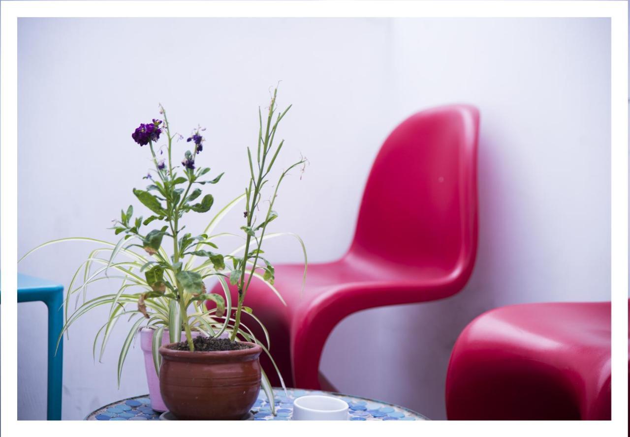 Red Llama Eco Hostel Ліма Екстер'єр фото